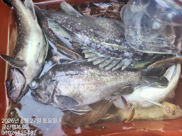 군산행복호_사진_20260627_4.jpg