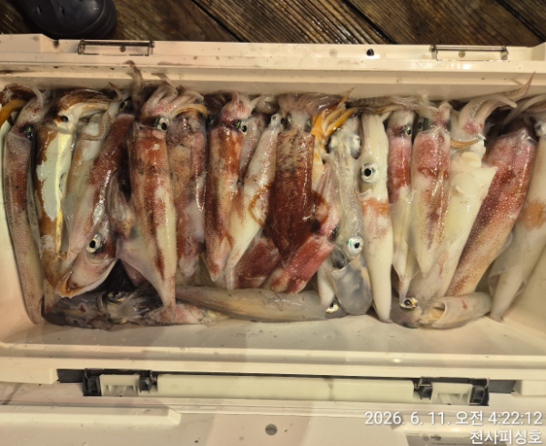 1004피싱_사진_20260610_9.jpg