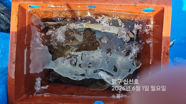 신신낚시 강구점 신신호_사진_20260601_17.jpg