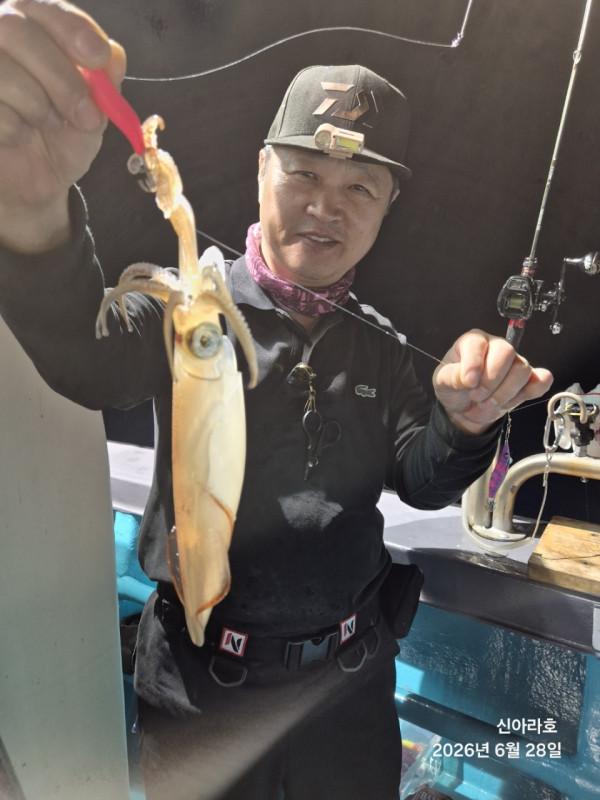 신아라호 한치 칼치 오징어_사진_20260629_2.jpg