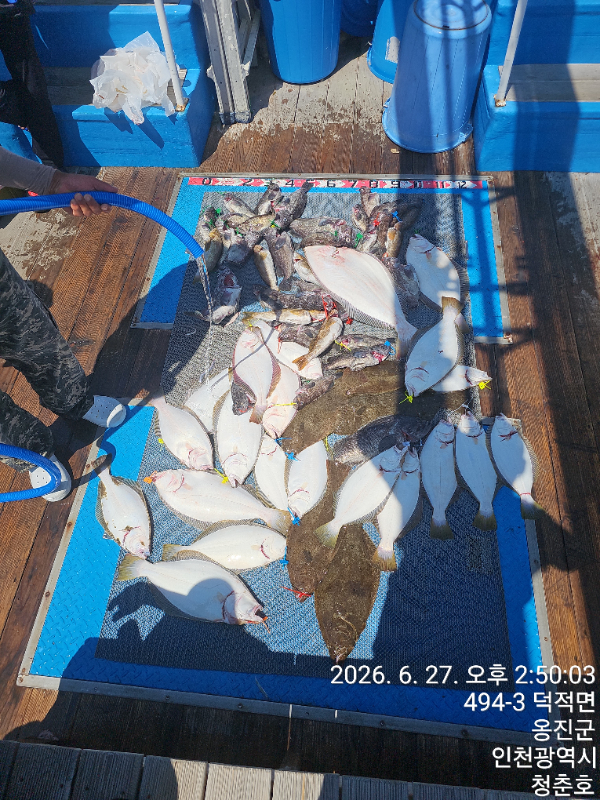 1000049114.jpg