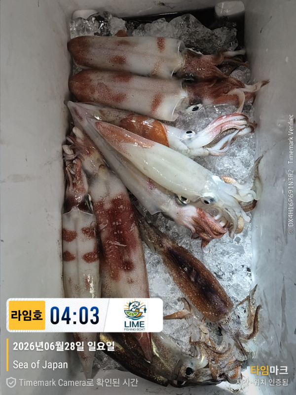 KakaoTalk_20260628_134018523_19.jpg