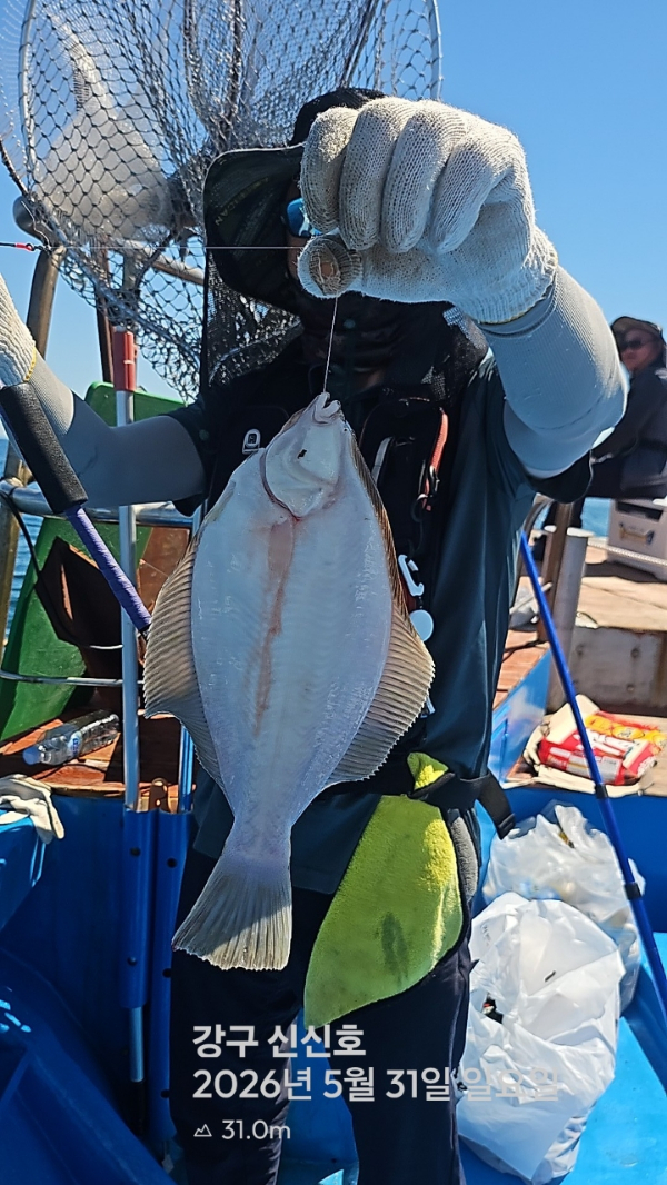 신신낚시 강구점 신신호_사진_20260531_8.jpg