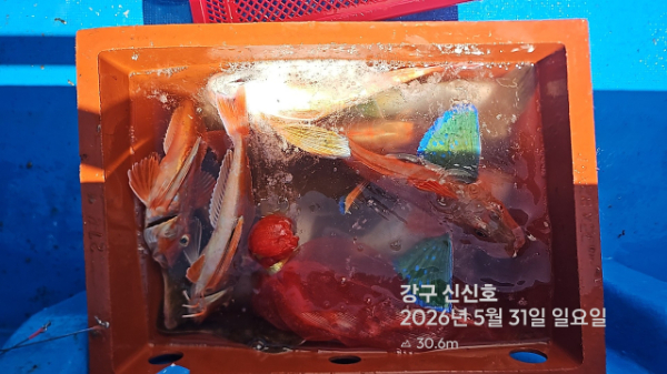 신신낚시 강구점 신신호_사진_20260531_19.jpg