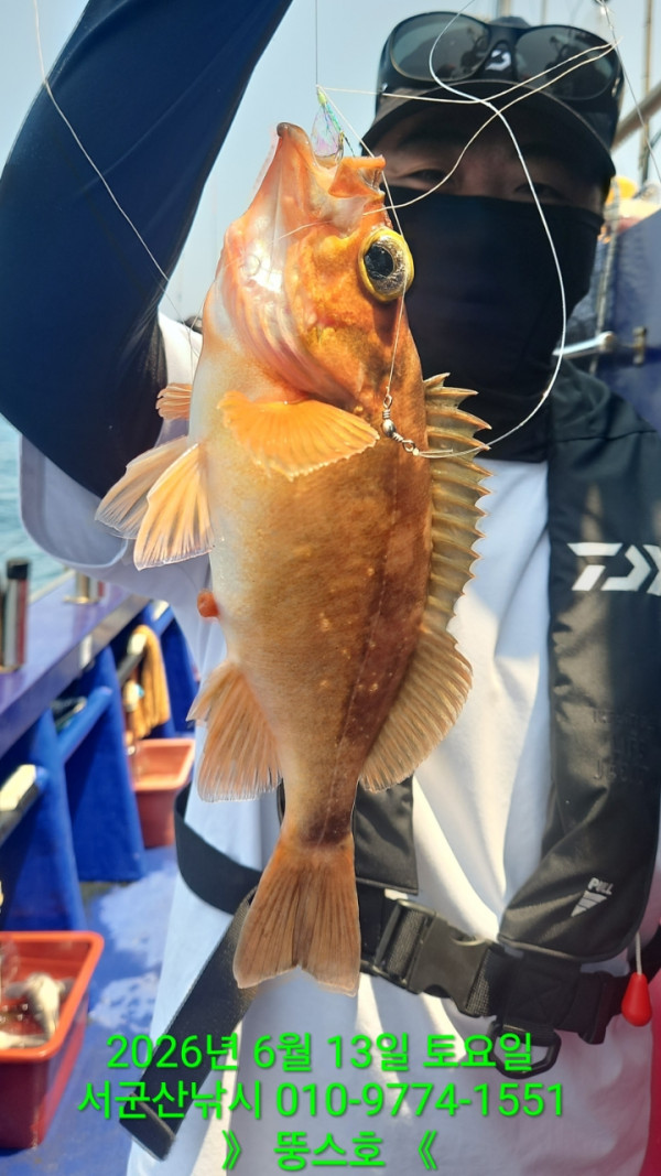 군산 선상낚시, 바다낚시 출조 전문 ☆서군산낚시☆_사진_20260613_6.jpg