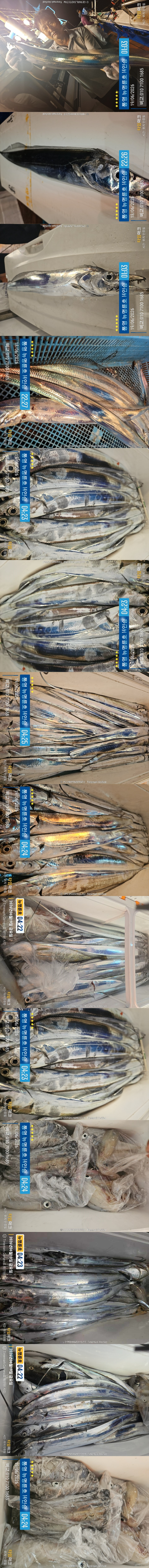 6-19갈치한치2.jpg