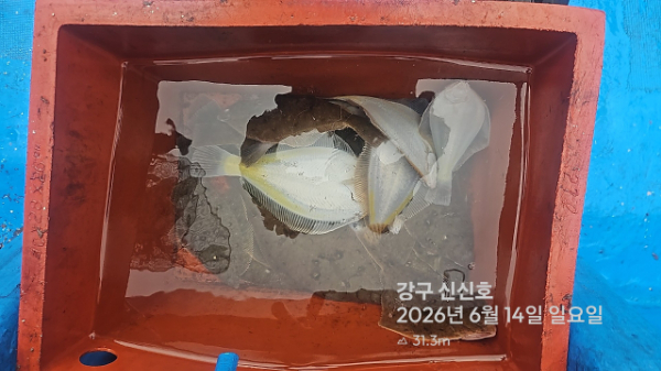 신신낚시 강구점 신신호_사진_20260614_6.jpg
