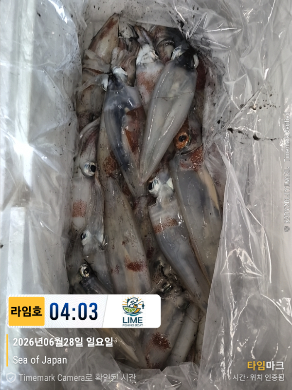 KakaoTalk_20260628_134018523_21.jpg