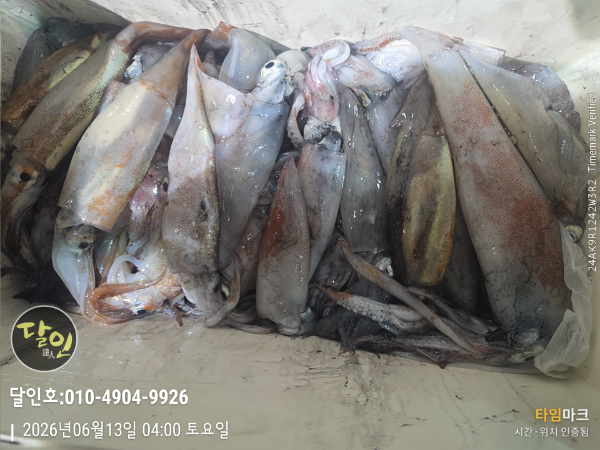 2026-06-13 04.00.44__(제목-달인호010-4904-9926).jpg