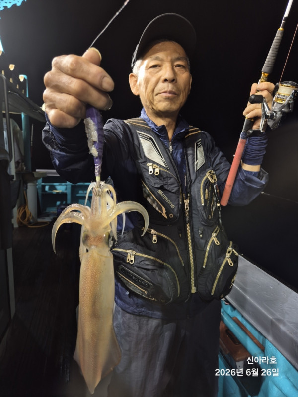 신아라호 한치 칼치 오징어_사진_20260626_2.jpg