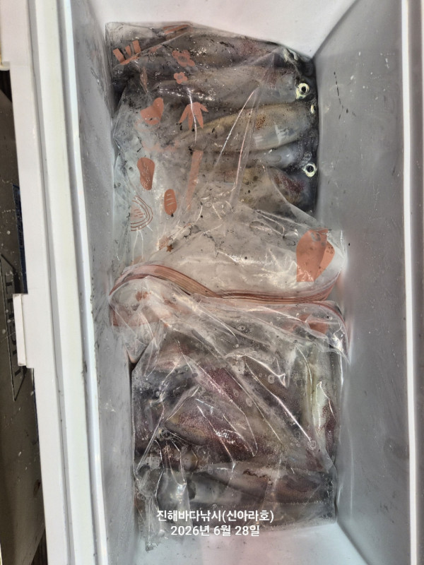 신아라호 한치 칼치 오징어_사진_20260628_22.jpg
