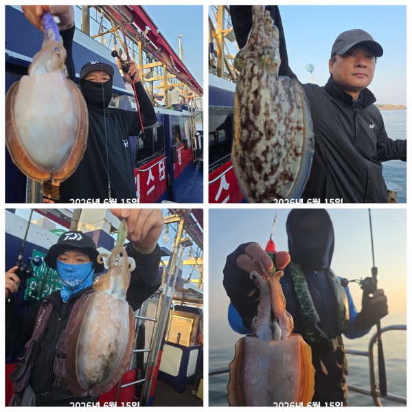 PhotoCollage_1781500671757.jpg
