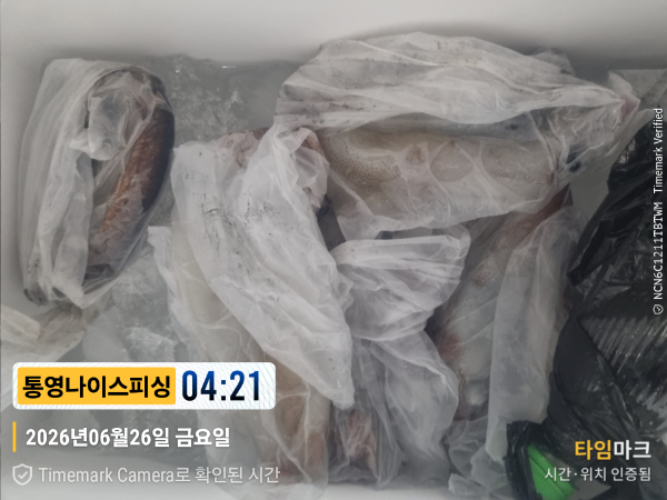 2026-06-26 04.21.21__(제목-통영나이스피싱).jpg