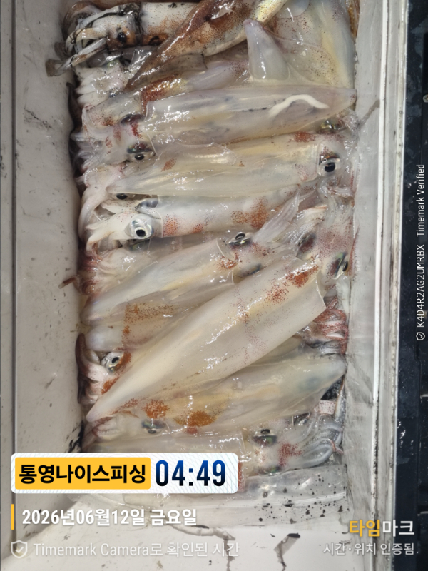 2026-06-12 04.49.10__(제목-통영나이스피싱).jpg