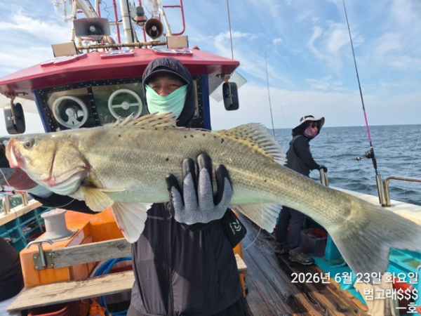 KakaoTalk_20260623_091026983_11.jpg