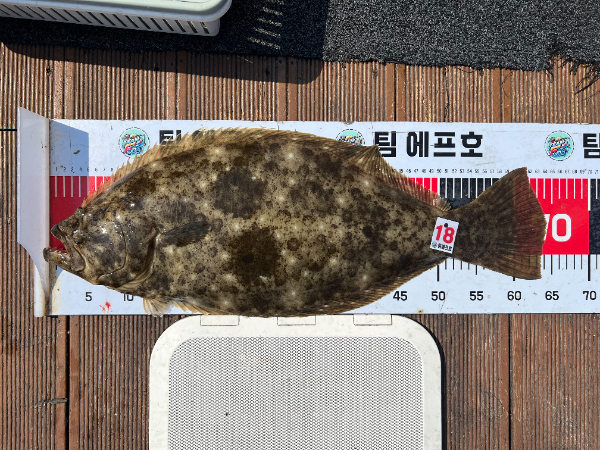 KakaoTalk_20260617_173517839_16.jpg