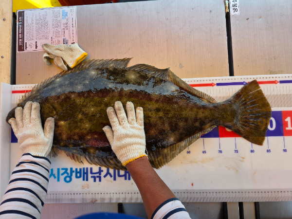 KakaoTalk_20260612_195147261_09.jpg