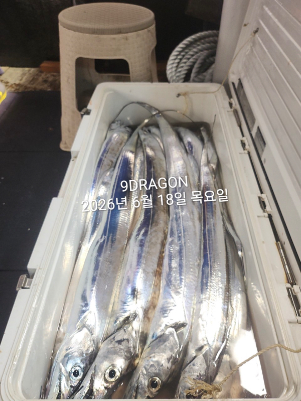 D28BBCE4-186E-4DC3-93E3-0A6563B1D6F7.jpeg