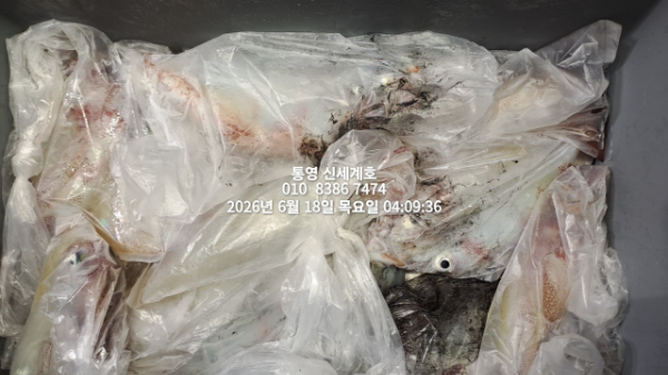 1781732558551.jpg