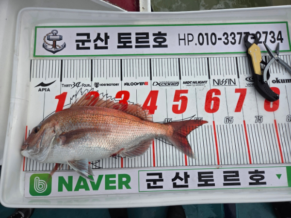 KakaoTalk_20260620_131844605_03.jpg