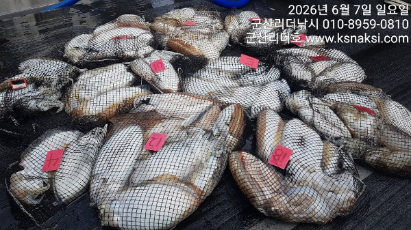 KakaoTalk_20260607_162938959_01.jpg