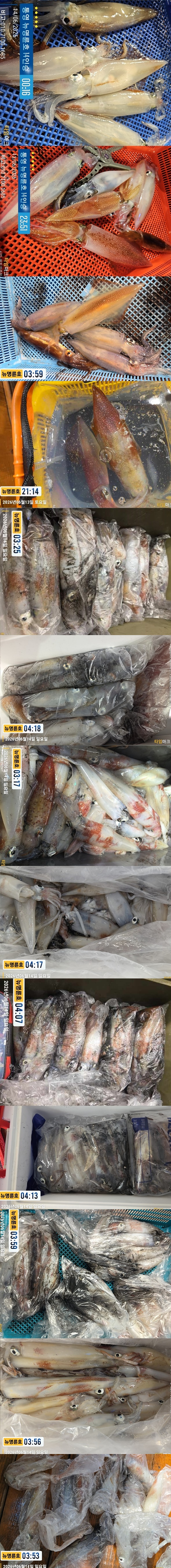 6-14한치2.jpg