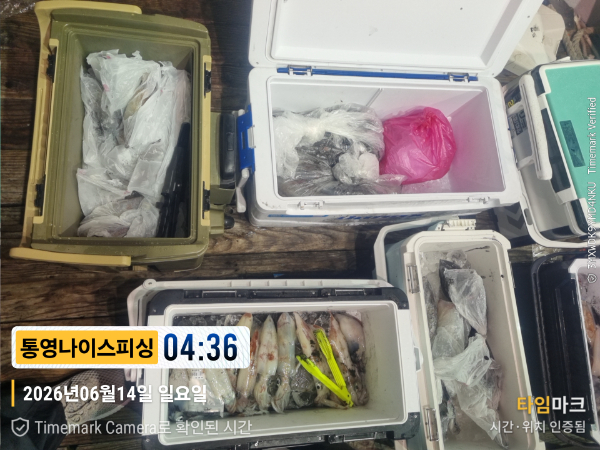 2026-06-14 04.36.15__(제목-통영나이스피싱).jpg