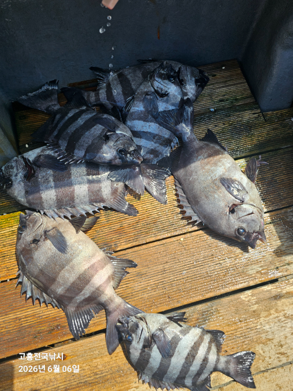 1000040844.jpg