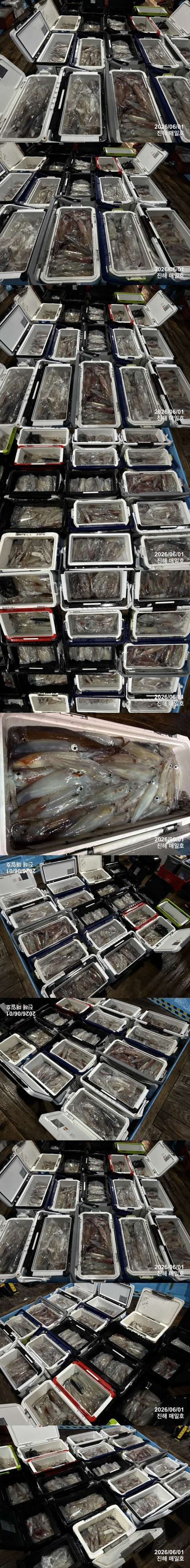 왕한치4.jpg