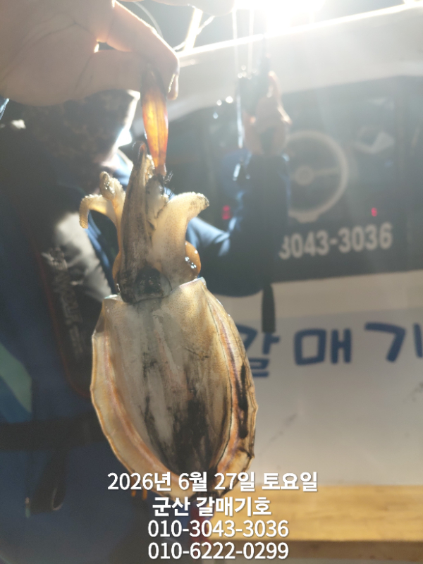 1049.jpg