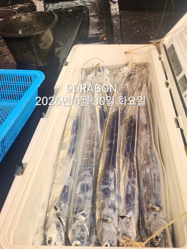 E49336E4-659F-4D15-A196-11D56CF6BF49.jpeg