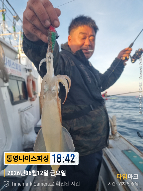 2026-06-12 18.42.31__(제목-통영나이스피싱).jpg