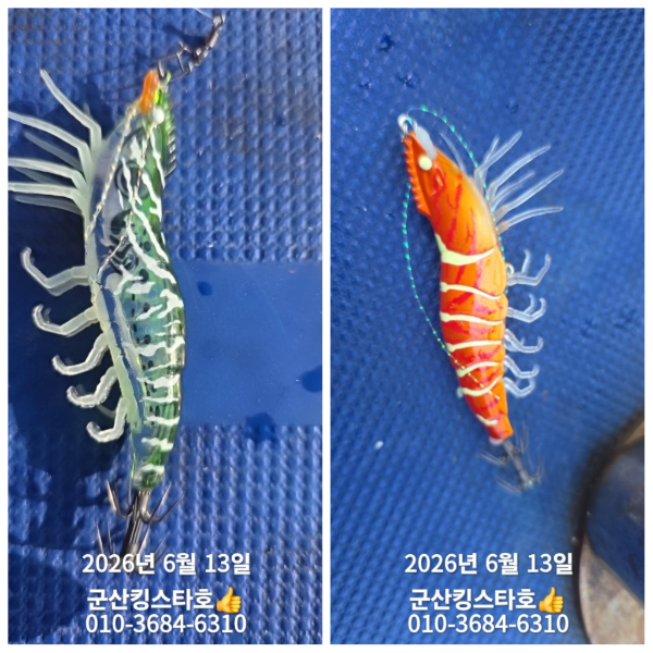 PhotoCollage_1781328331995.jpg