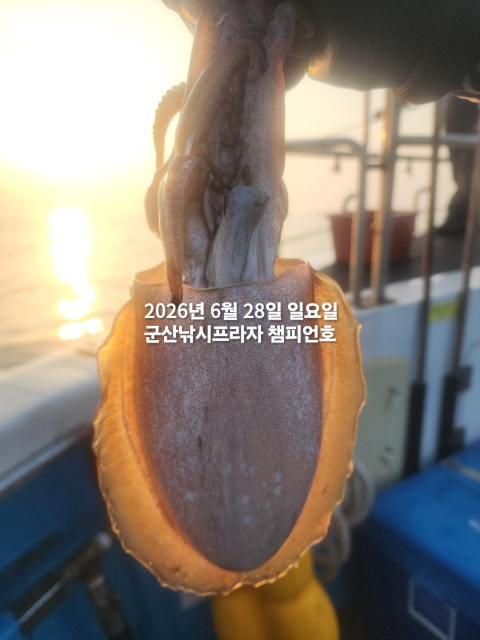 KakaoTalk_20260628_062049994_01.jpg