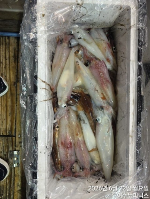 6월22일갈한치 (2)[크기변환].jpg