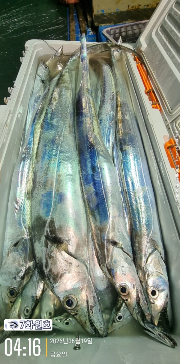 6F4E2E0B-2979-4285-AB32-B31D6066B37B.jpeg