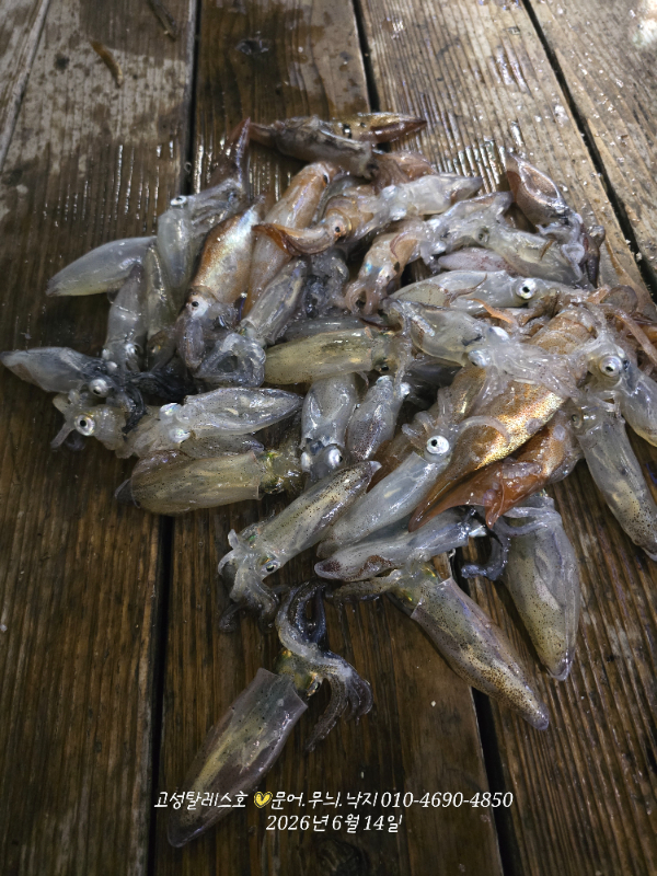 20260614_033108.jpg
