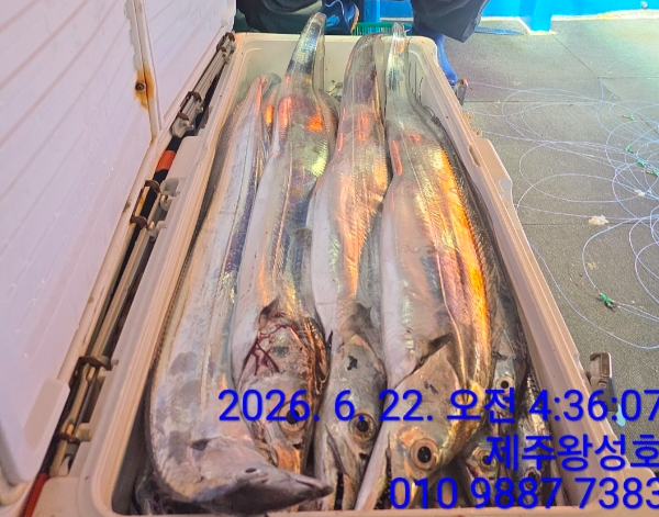 1000069627.jpg
