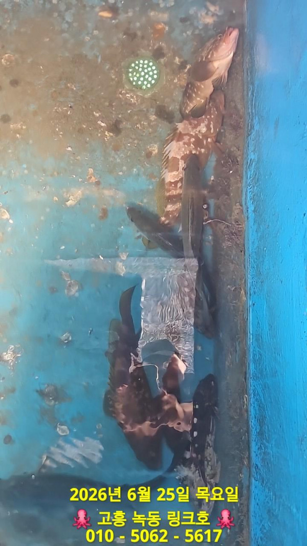 1000051003.jpg
