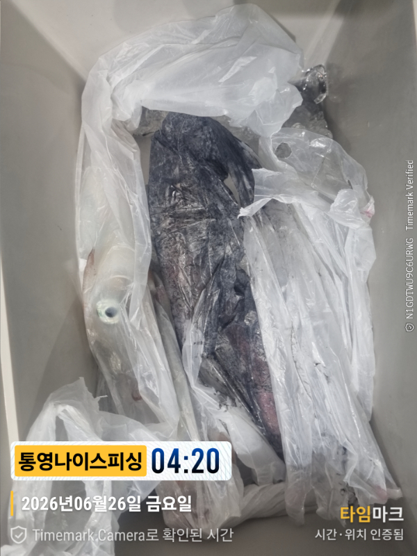 2026-06-26 04.20.19__(제목-통영나이스피싱).jpg