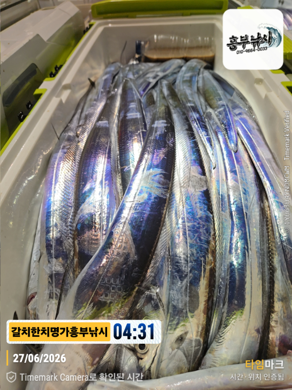 2026-06-27 04.31.52__(제목-갈치한치명가흥부낚시).jpg