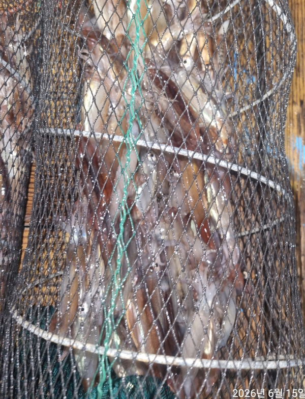 9B9DF6A7-A9FD-43BE-890B-DF5786D7E78C.jpeg