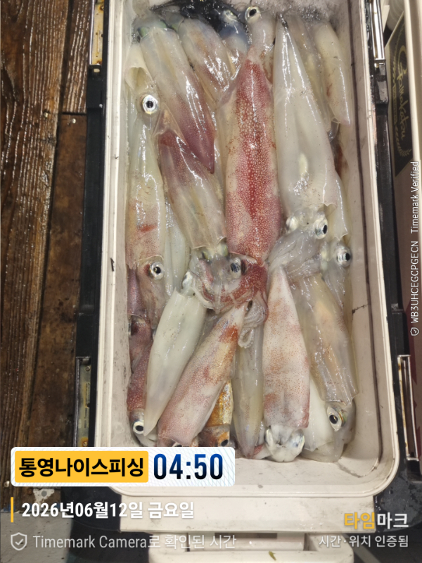 2026-06-12 04.50.20__(제목-통영나이스피싱).jpg