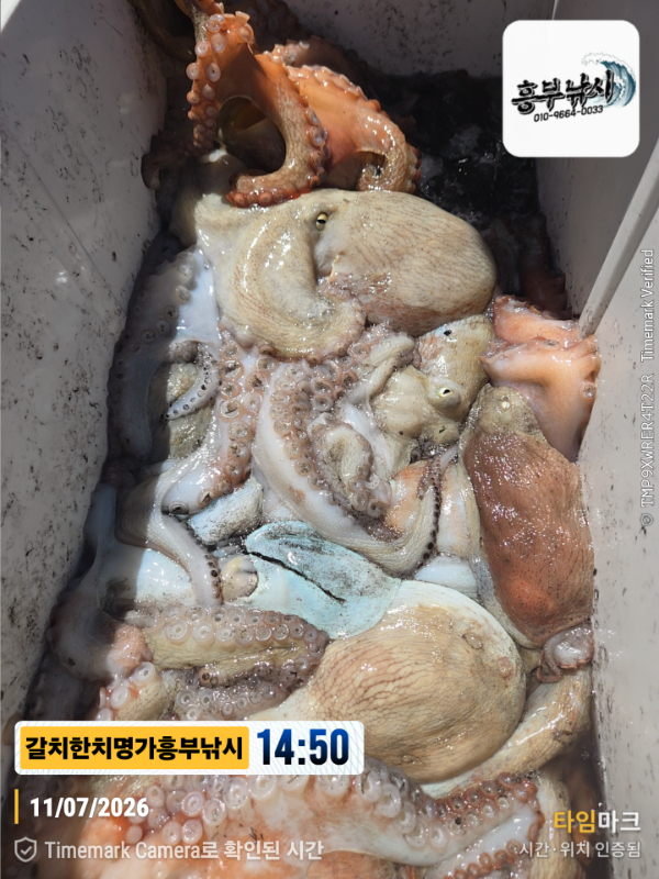 2026-07-11 14.50.13__(제목-갈치한치명가흥부낚시).jpg