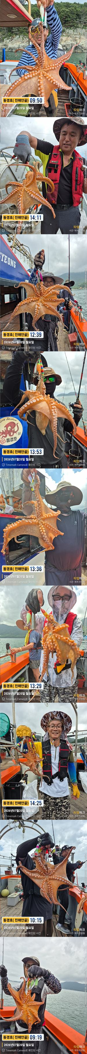 돌문어 26-7-20-4.jpg