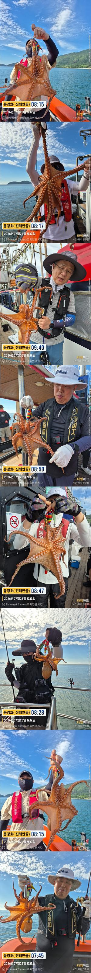 돌문어 26-7-25-4.jpg