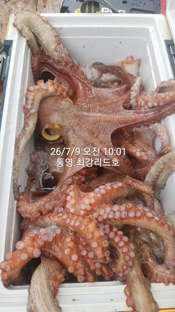 도담피싱클럽_사진_20260709_8.jpg