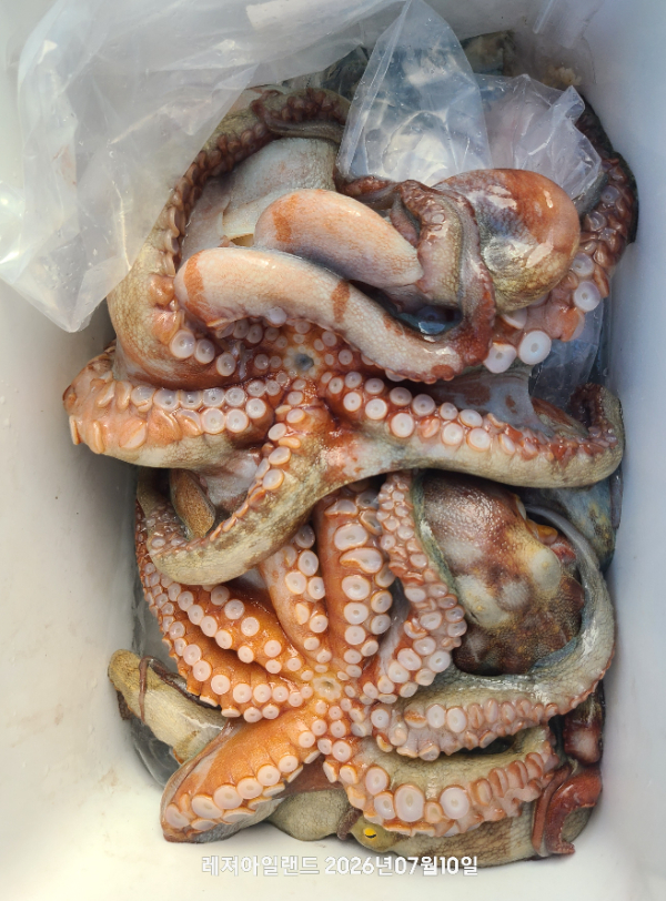 1000077036.jpg