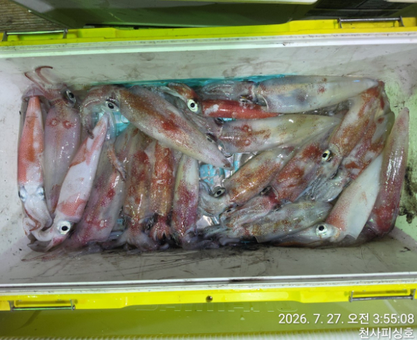 1004피싱_사진_20260726_5.jpg