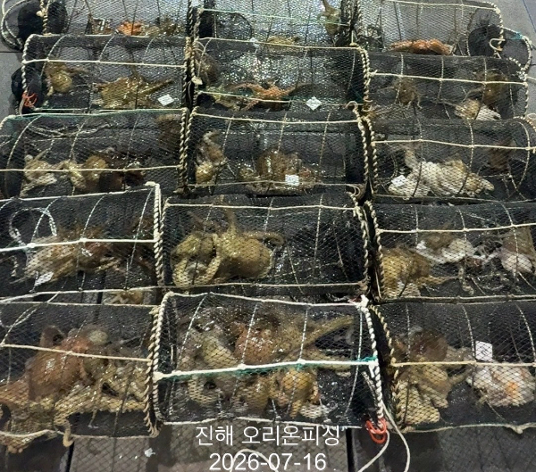 KakaoTalk_20260717_093522198_01.jpg